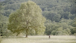 Still frame Deklica in drevo (2012)