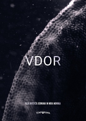 The poster for Vdor (2021).