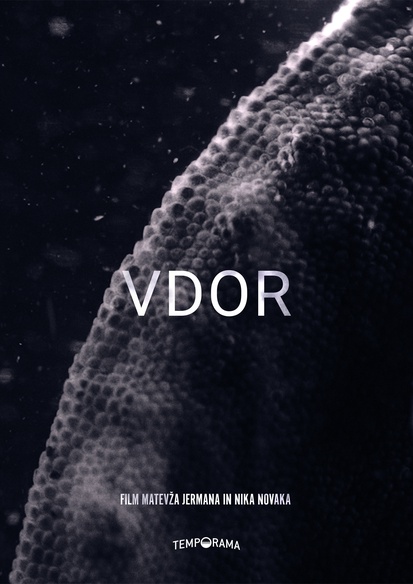 Plakat: Vdor (2021).