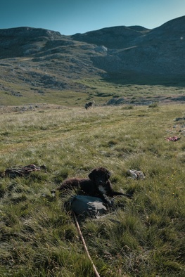 fotografija s snemanja Gora se ne bo premaknila (2025)