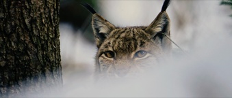 Kader iz filma Prvi zimski dan (2025)