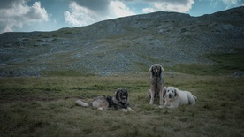 fotografija s snemanja Gora se ne bo premaknila (2025)