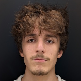 Domen Pehani