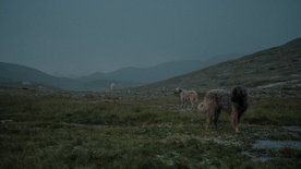 photo from set Gora se ne bo premaknila (2025)