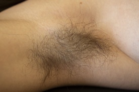 Still frame Nihče ni nikoli gledal slonov kot ti (2025)