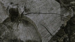 Kader iz filma Domov k spominu (2016)