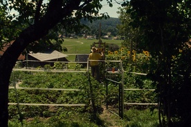 Veljko Toman in Pigment of Memory (s.d.).