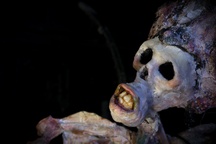 Kader iz filma Naša Gospa Trohnenja (2024)