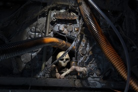 Kader iz filma Naša Gospa Trohnenja (2024)