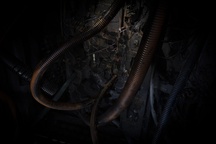 Kader iz filma Naša Gospa Trohnenja (2024)