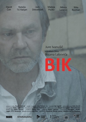 Bik (2019)