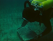 Kader iz filma Potopljena obala (1967)