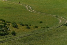 Veljko Toman v filmu Pigment of Memory (s.d.).