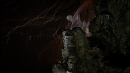 Still frame Kamni so le navidez neživi (2024)