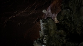 Still frame Kamni so le navidez neživi (2024)