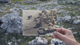 Kader iz filma Obzornik 242 – Sunčane pruge (2023)