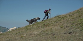 Still frame Poletne počitnice (2025)