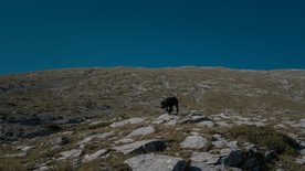 fotografija s snemanja Gora se ne bo premaknila (2025)