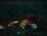 Still frame Duša kaj želiš (2026)