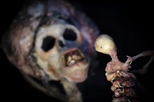 Kader iz filma Naša Gospa Trohnenja (2024)