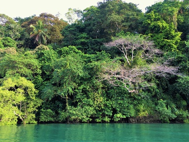 fotografija s snemanja Kostarika - biodiverziteta v tropskem gozdu (2020)