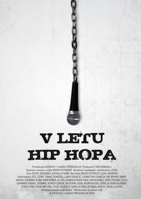 V letu hip hopa (2010)