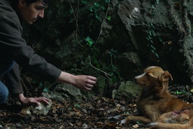 Still frame Vetre, pričaj sa mnom (2025)