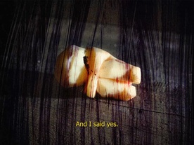 Still frame Do You Know, Where the Birds Live? (2025)