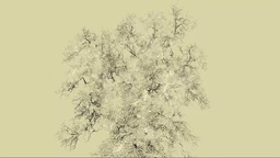 Kader iz filma Drevo (2025)