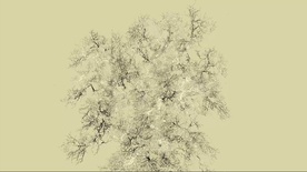 Still frame Drevo (2025)