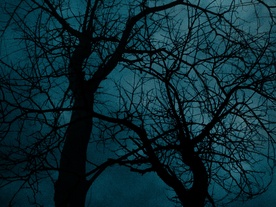 Still frame Korak (2025)