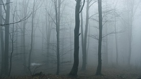 Still frame Nekoč v Posočju (2024)