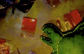 Kader iz filma Želvino življenje (2024)