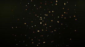 Nihče ni nikoli gledal slonov kot ti (2025)