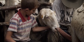 Still frame Poletne počitnice (2025)