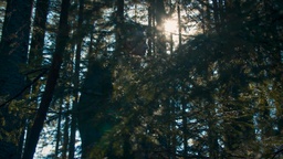 Kader iz filma După cioate (2025)