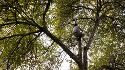 Kader iz filma După cioate (2025)