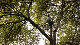 Still frame După cioate (2025)