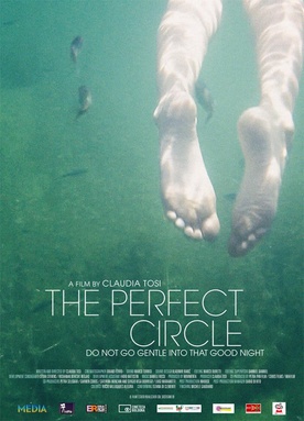 The Perfect Circle (2015)