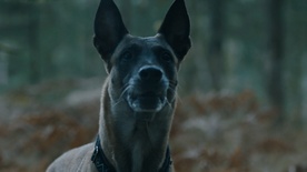 Still frame Žival, ki ostane (2025)
