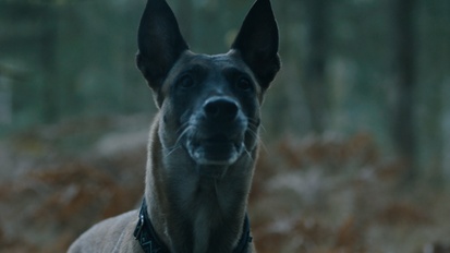 Kader iz filma Žival, ki ostane (2025)
