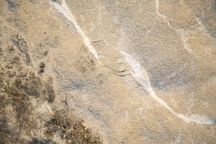 Kader iz filma Nihče ni nikoli gledal slonov kot ti (2025)