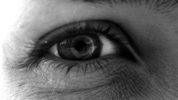 Kader iz filma Roll Call (2025)