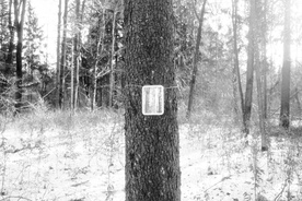 fotografija s snemanja Odsev (2021)