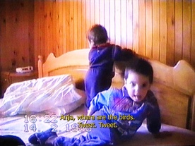 Still frame Do You Know, Where the Birds Live? (2025)