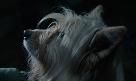 Still frame Ultimo schiaffo (2025)