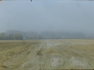 Still frame Obzornik 670 – Rdeči gozdovi (2022)