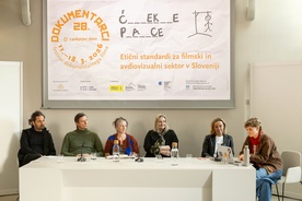 Nataša Bučar, Zoran Dževerdanović, Siniša Gačić, Marina Gumzi, Petra Seliškar, Maja Weiss na dogodku 28. FDF - Festival dokumentarnega filma.