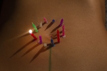 Kader iz filma Nihče ni nikoli gledal slonov kot ti (2025)