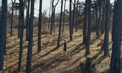 Kader iz filma Zgodba o vetru (2025)